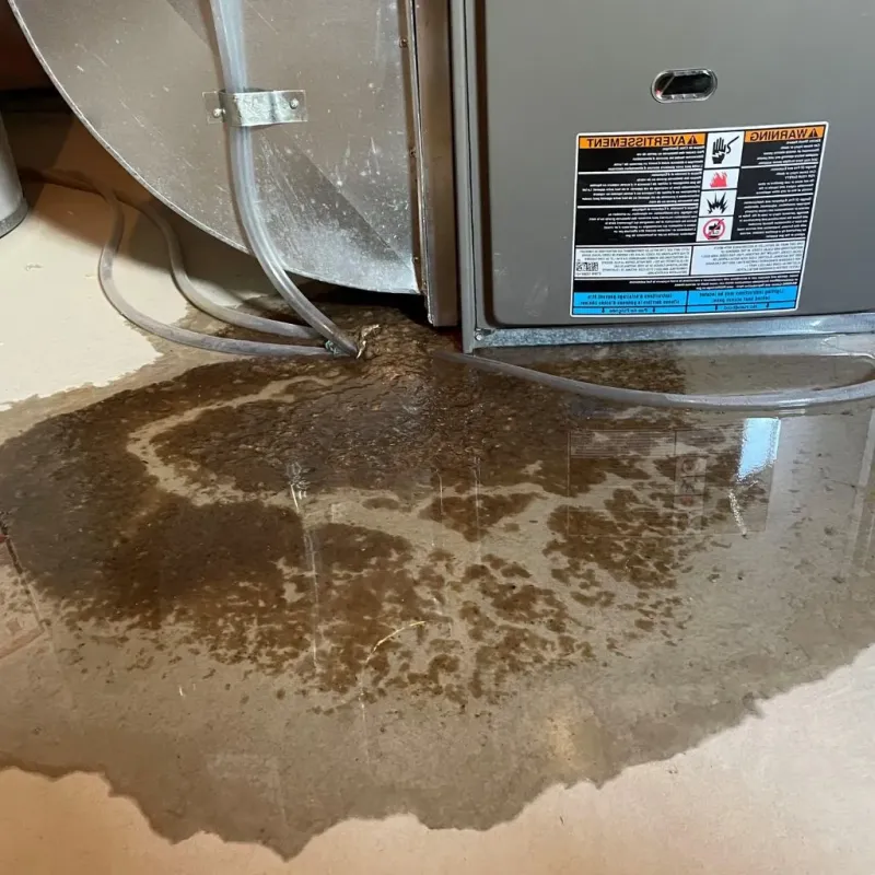 Pipe Burst and Leak Restoration in Lincoln County, ID