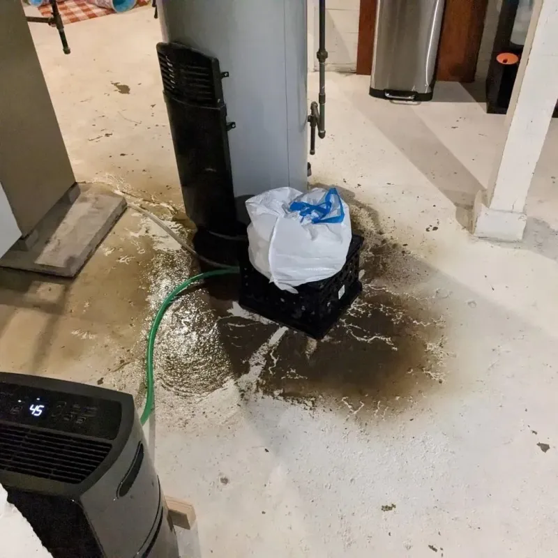 Sewage Backup Cleanup Service in Lincoln County, ID